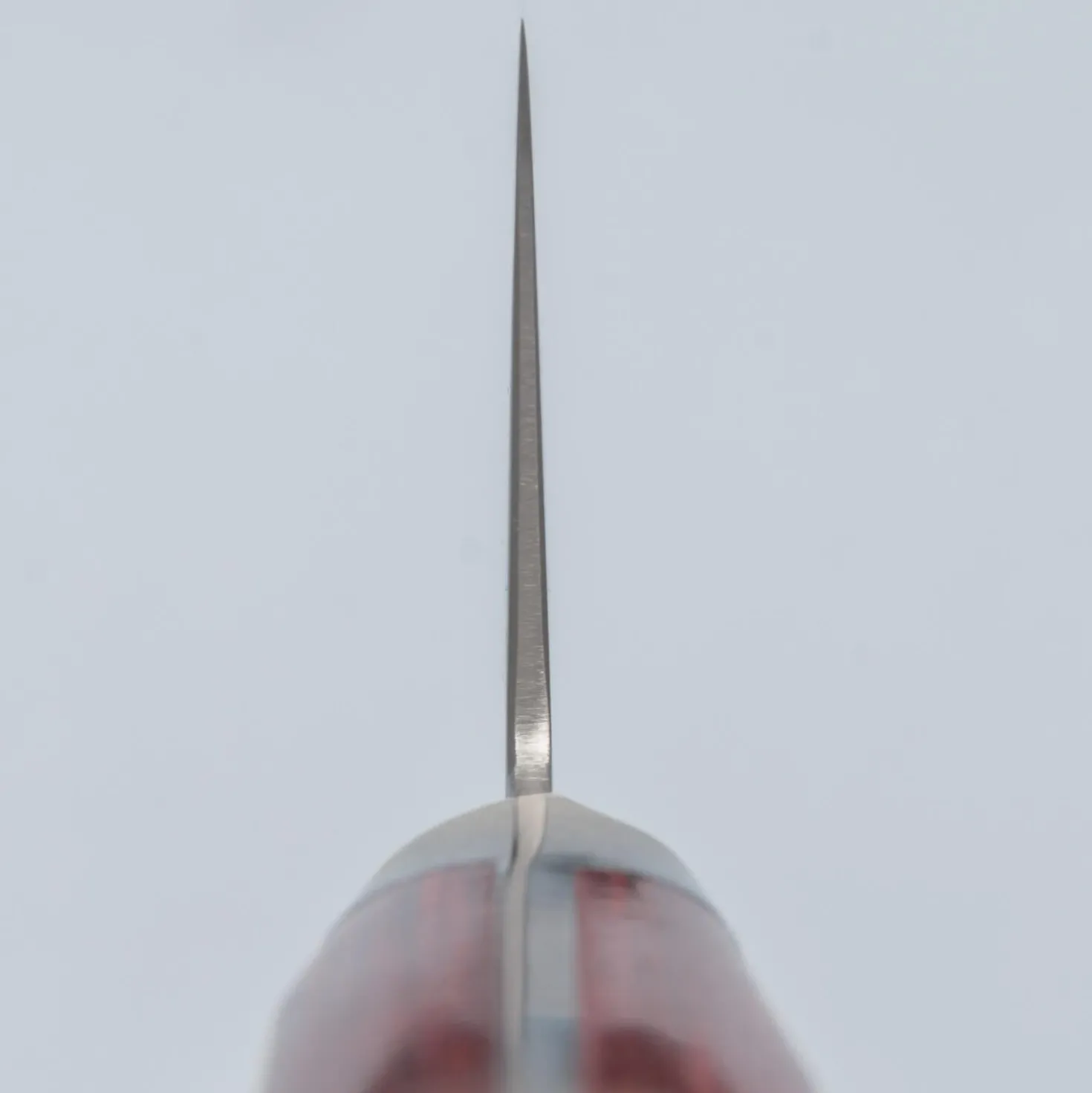 Kazoku Taifuu Western Santoku 18 cm