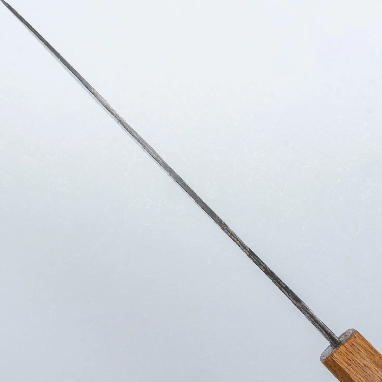 Kazoku x Tosa Aogami Gyuto 24 cm