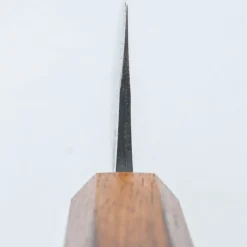Kazoku x Tosa Aogami Gyuto 21 cm