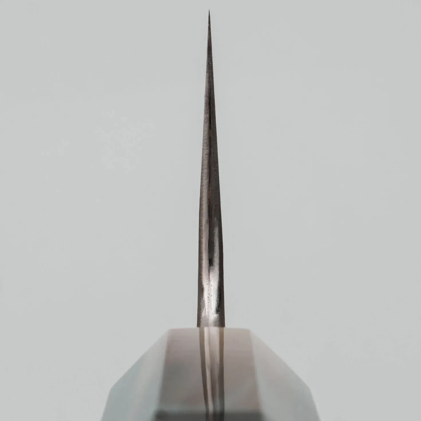 Kazoku x Wakui Kurouchi Shirogami #2 Gyuto 24 cm