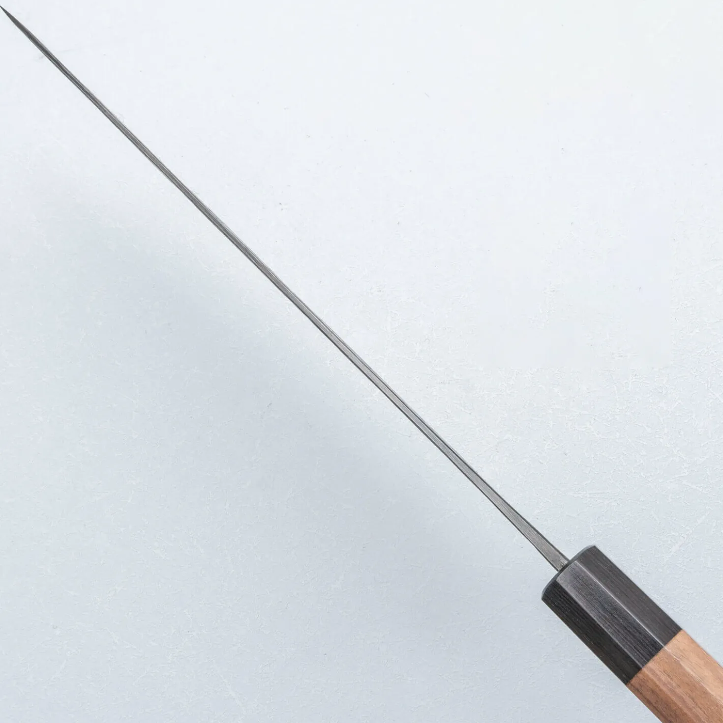 Kisuke Aogami 2 Gyuto 24 cm