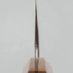 Kisuke x Kazoku Aogami 1 Gyuto 21 cm #4