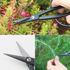 Kobayashi Seikyo Oogstschaar Harvester