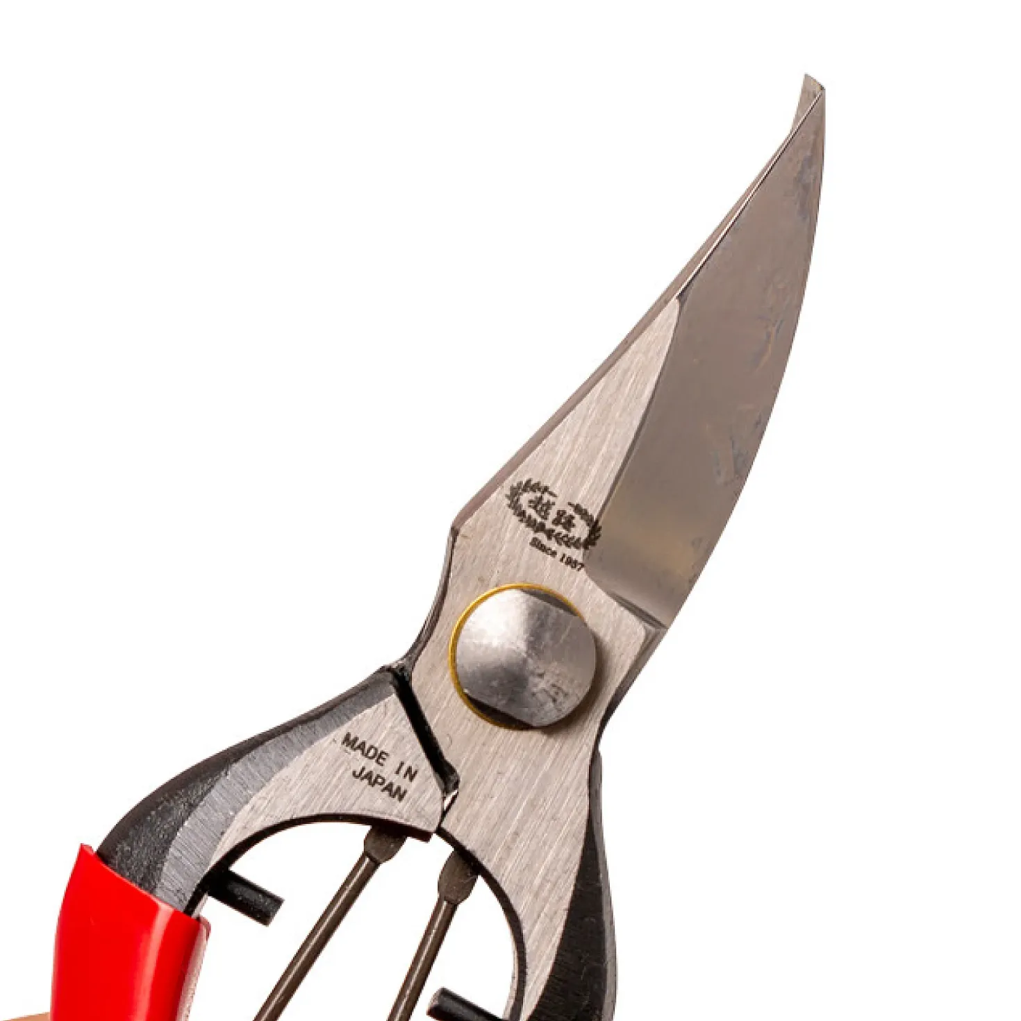 Kobayashi Seikyo Snoeischaar B-1 18.5 cm
