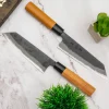 Kyohei Aogami Gyuto 21 cm