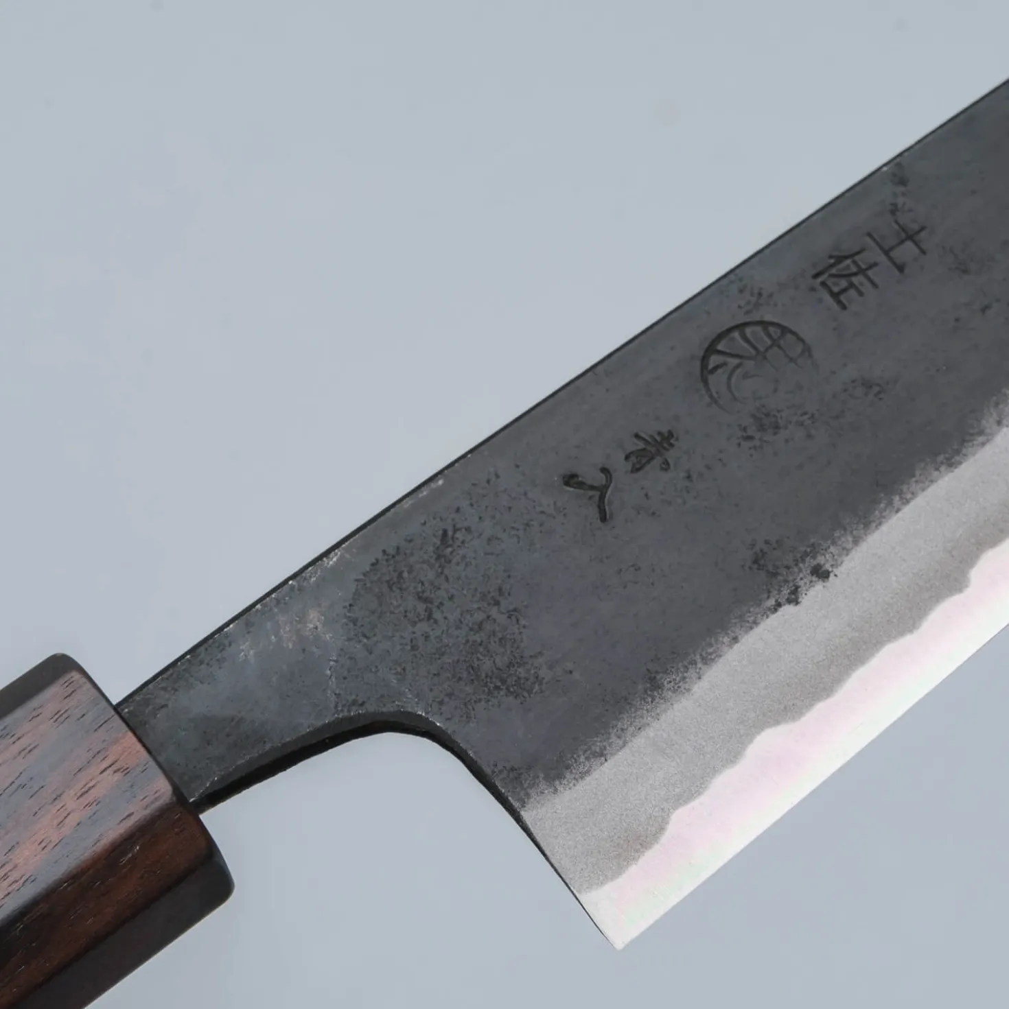 Kyohei Aogami Walnut Santoku 16.5 cm