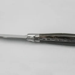 Laguiole en Aubrac Damascus Steakmes Hoorn 2 delig