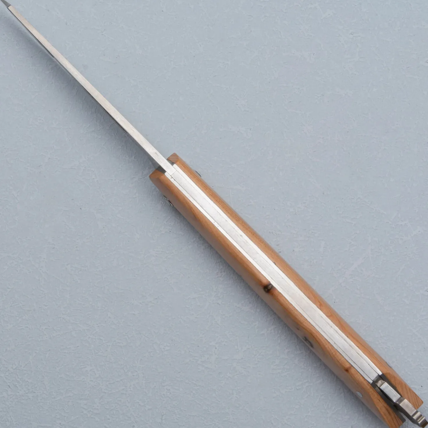 Laguiole en Aubrac Zakmes Bee-Back Jevenerbeshout 11 cm