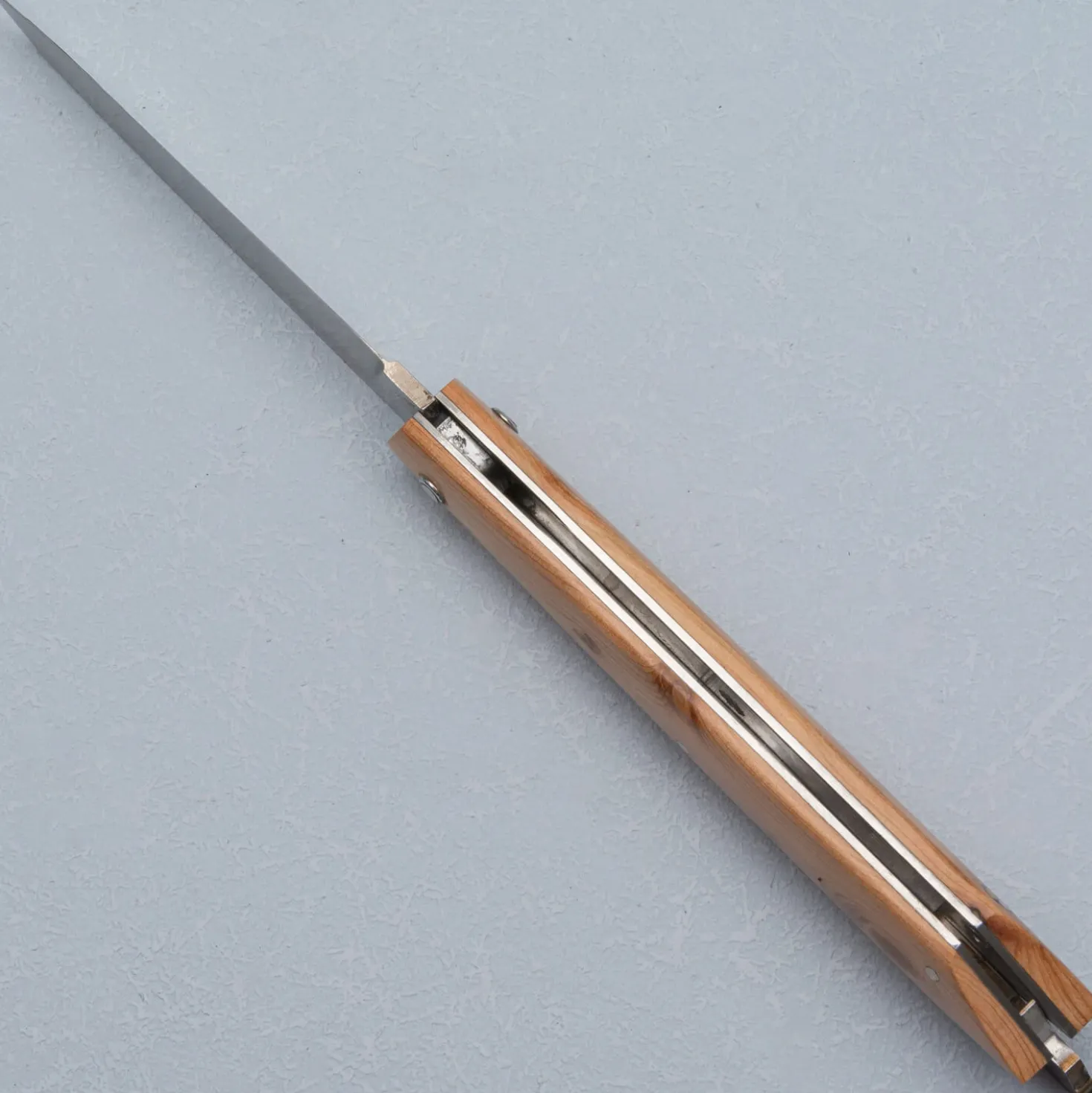 Laguiole en Aubrac Zakmes Bee-Back Jevenerbeshout 11 cm