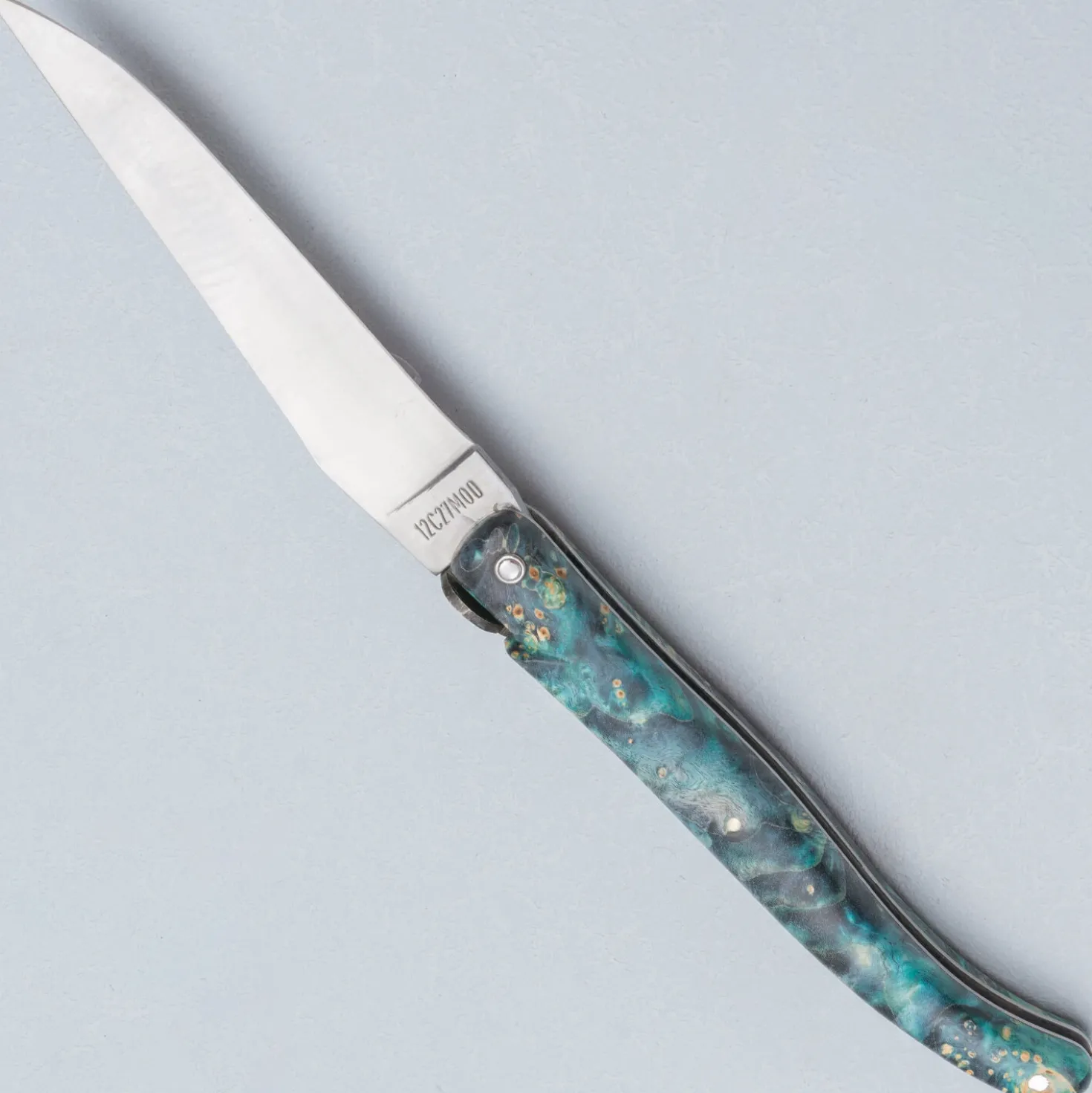 Laguiole en Aubrac Zakmes Cosmos Blue Elder Earth Bee 12 cm
