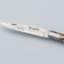 Laguiole en Aubrac Zakmes Double Plated Fusion Mammoet 12 cm