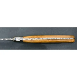 Laguiole Steakmessen Jean Dubost Olijfhout