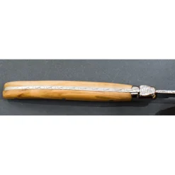 Laguiole Steakmessen Jean Dubost Olijfhout