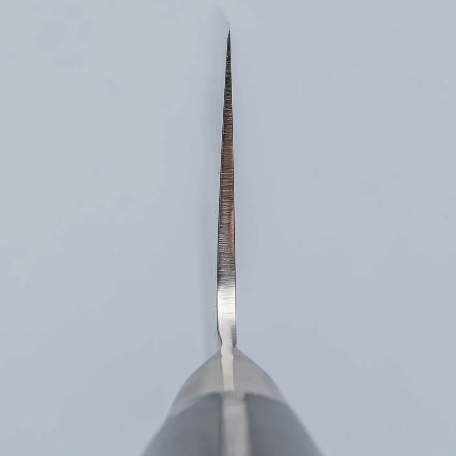 Mac Professional Tsuchime Gyuto 20 cm