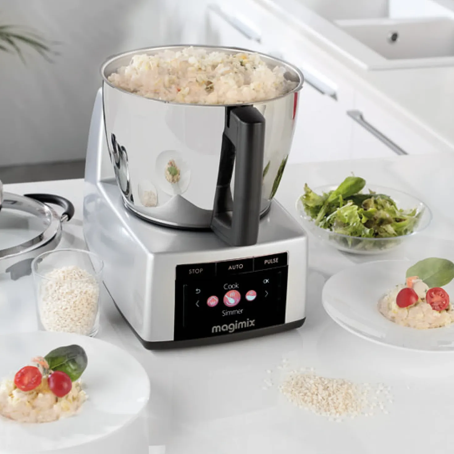 Magimix Cook Expert Mat RVS