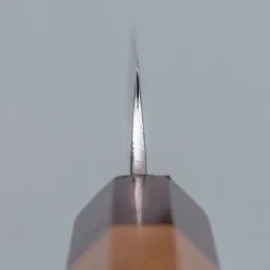 Makoto Kurosaki Ryusei Petty 15 cm