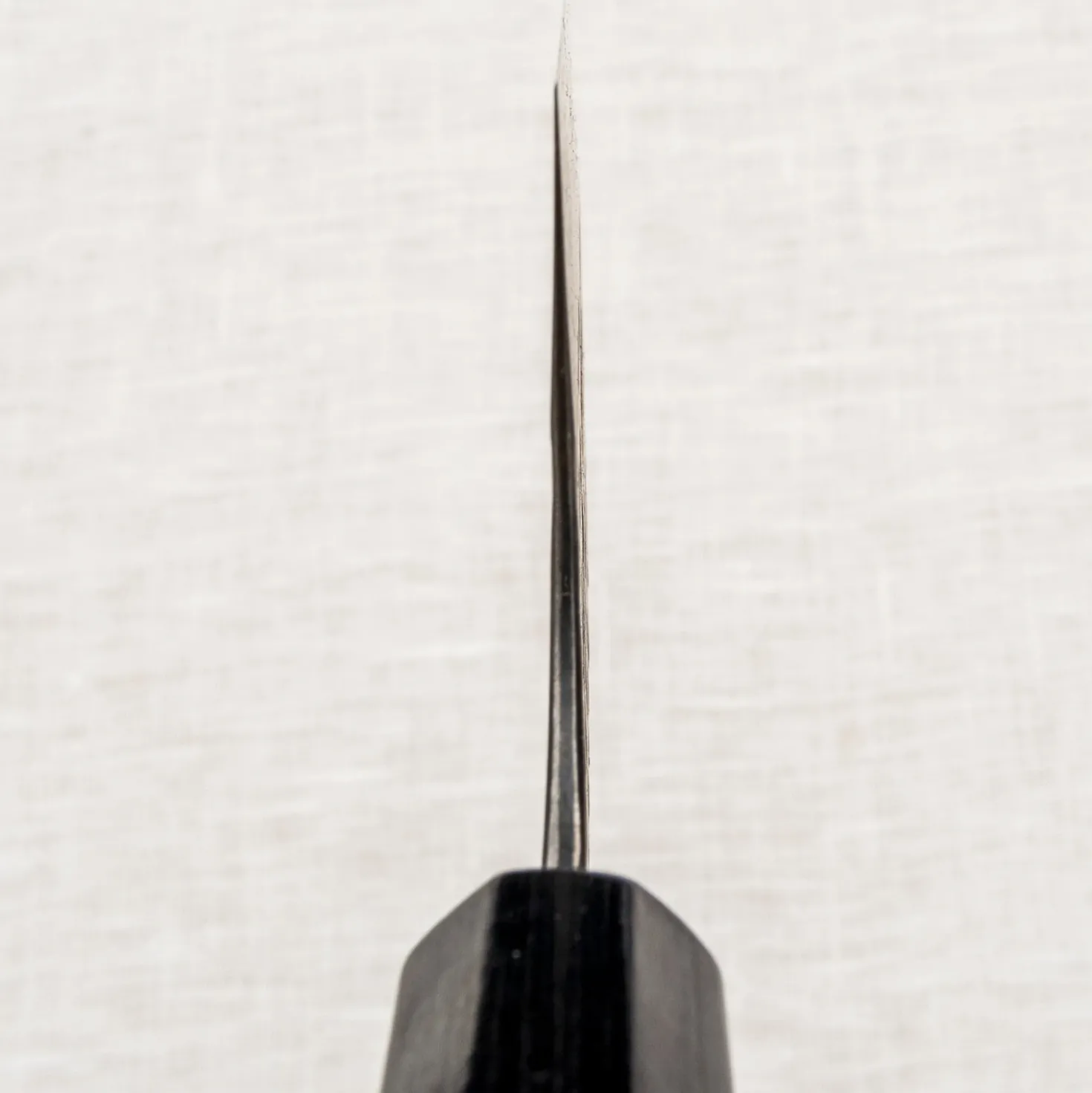 Masakage Koishi Kamagata