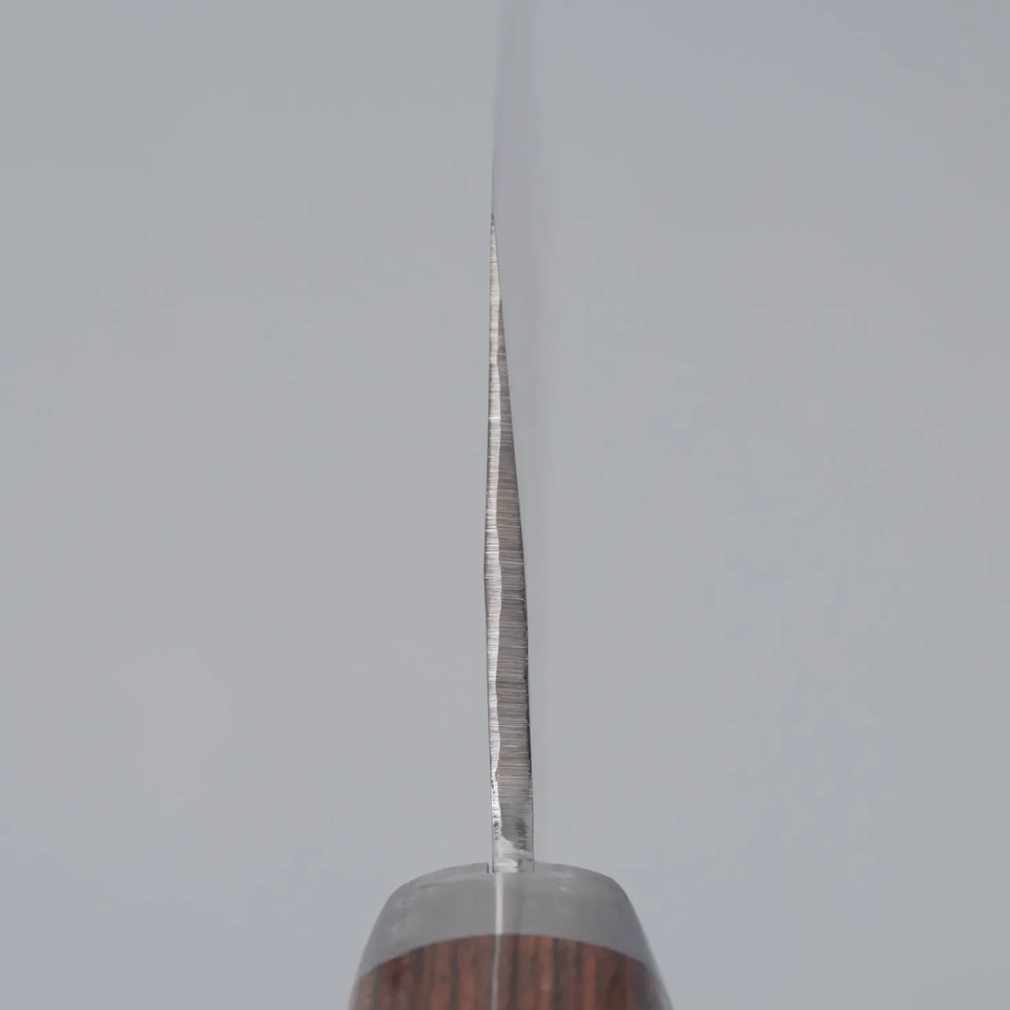 Masutani VG-1 Gyuto 18 cm