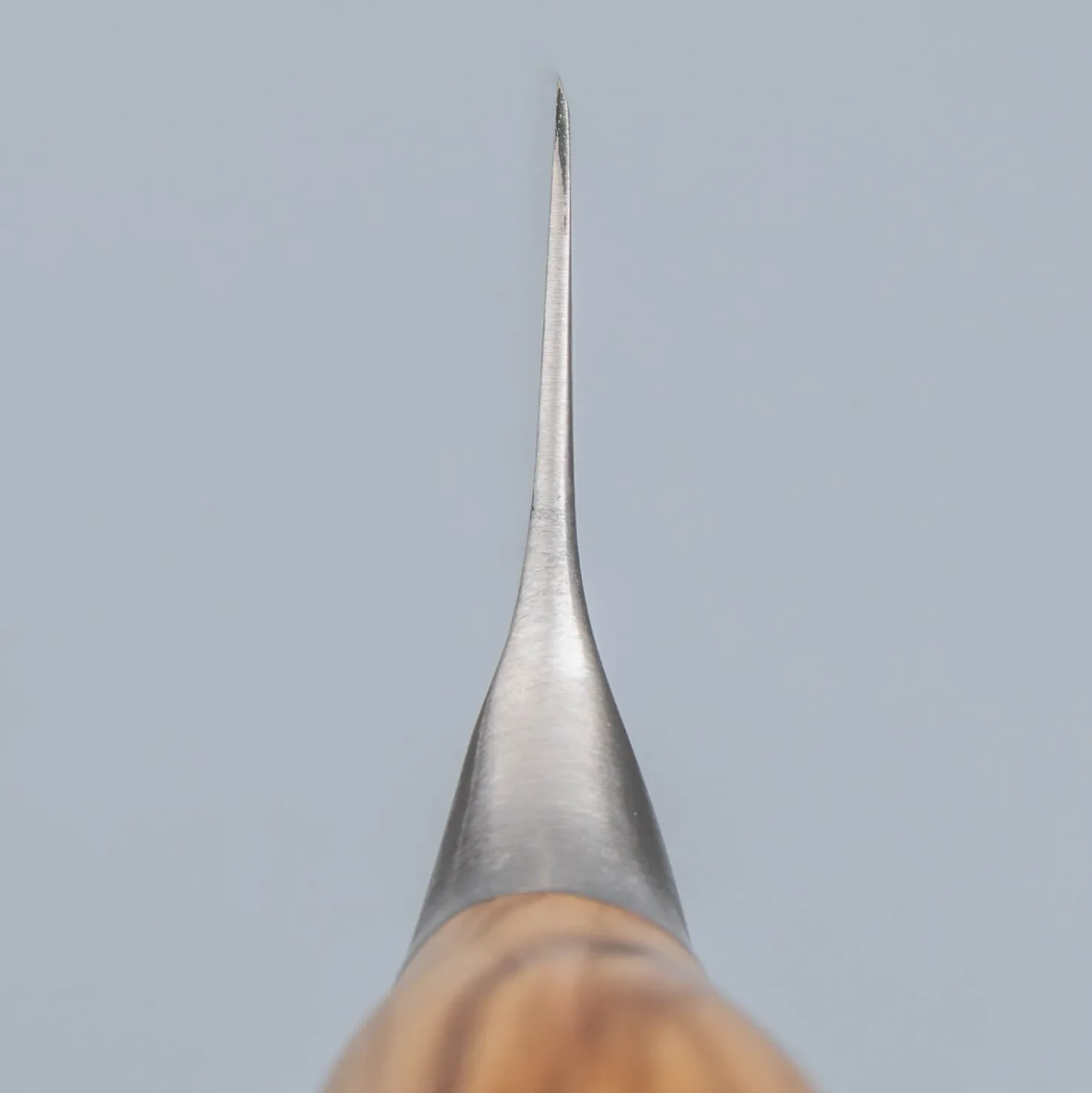 Messermeister Oliva Elite Koksmes 23 cm