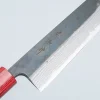 Muneishi Aogami 2 Iron Damast Kiritsuke 21 cm