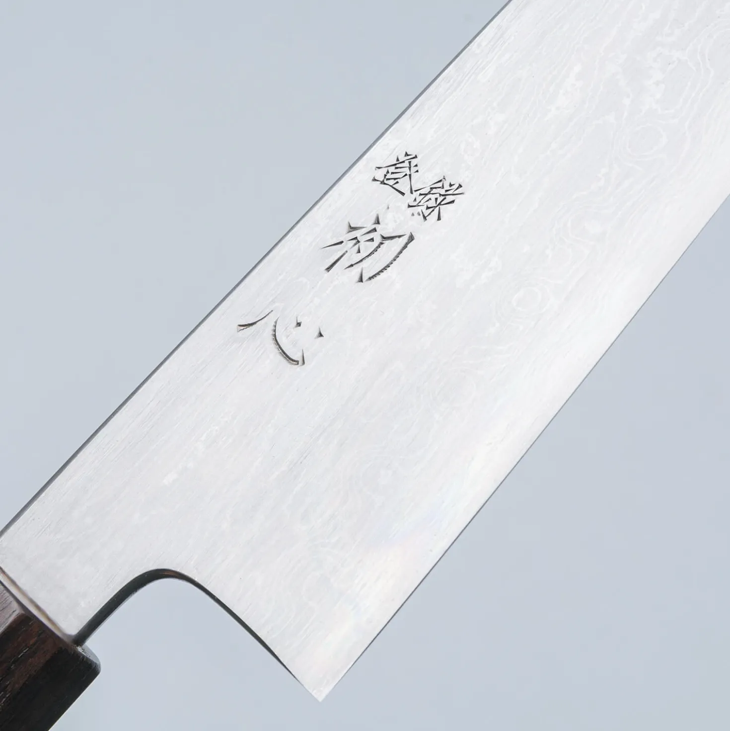 Nakagawa Satoshi Aogami #1 Damast Ebony Gyuto 21 cm