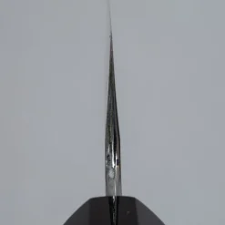 Nakagawa Satoshi Aogami #1 Gyuto 20 cm