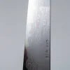 Nakagawa Satoshi x Myojin Aogami #1 Gyuto 24 cm