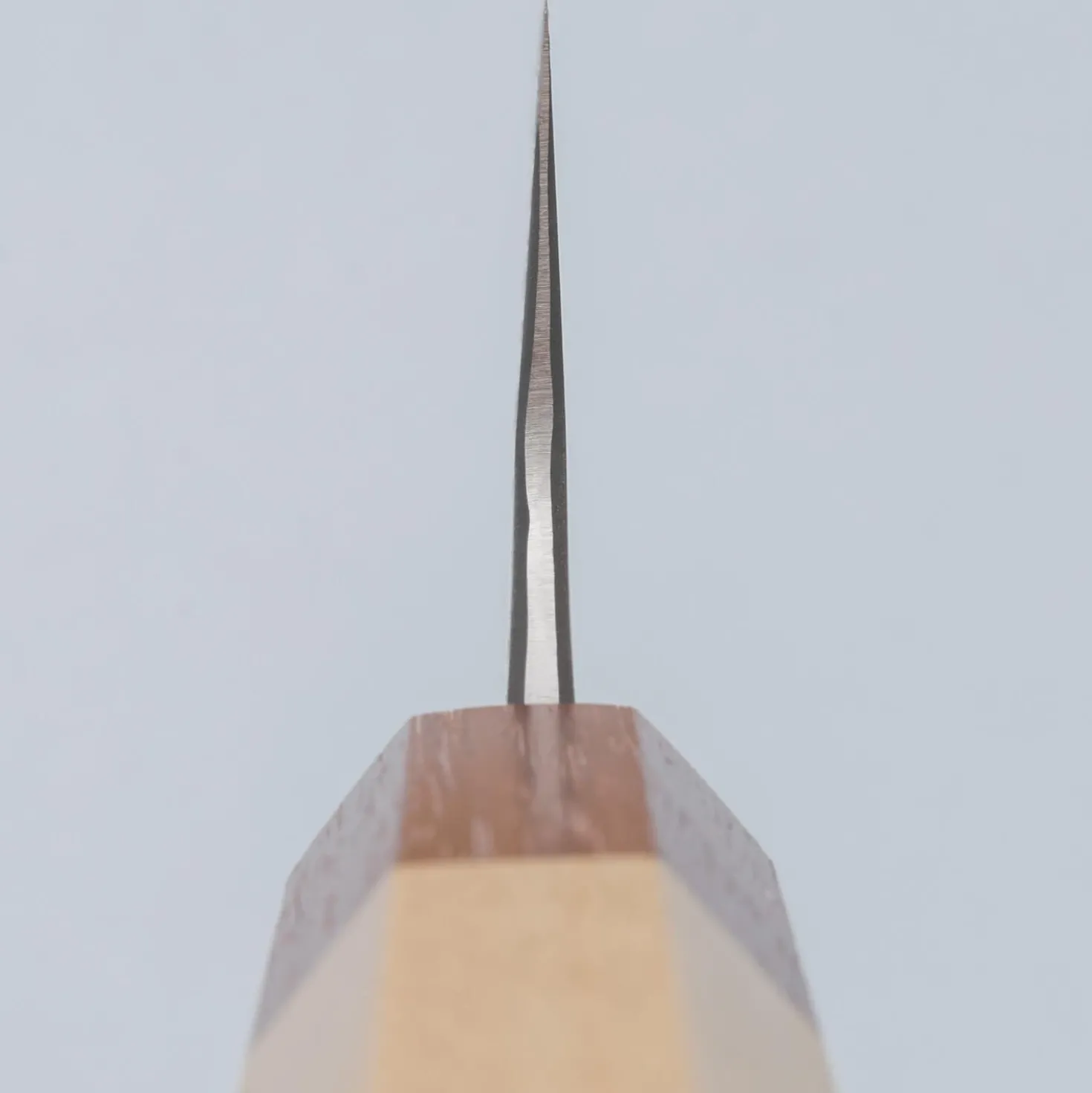 Naoki Mazaki Migaki Shirogami #2 Gyuto 24 cm