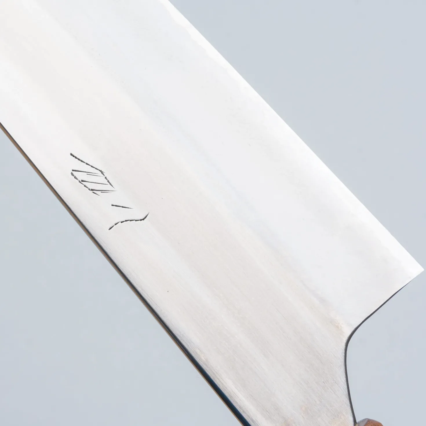 Naoki Mazaki Migaki Shirogami #2 Gyuto 24 cm