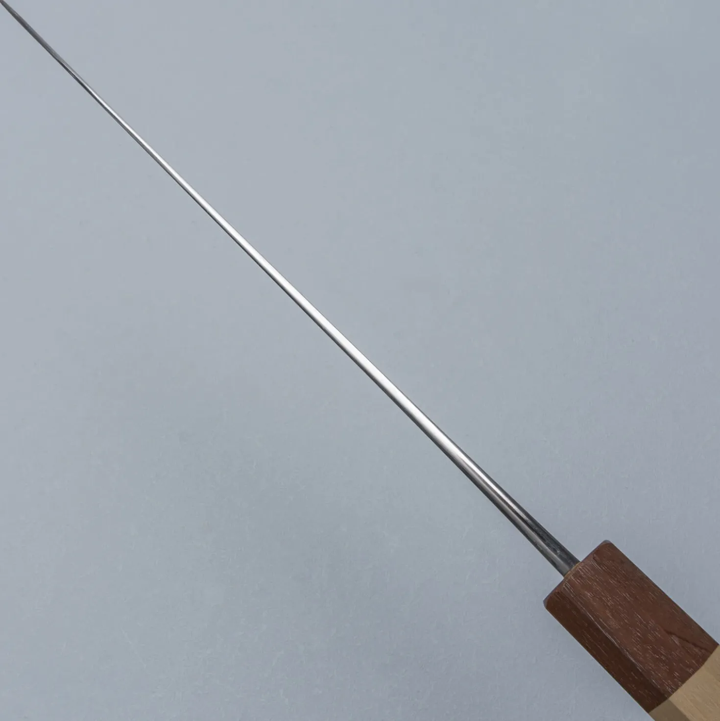 Naoki Mazaki Migaki Shirogami #2 Gyuto 24 cm