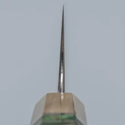 Nigara Aogami #2 Rainbow x Myojin Gyuto 21 cm