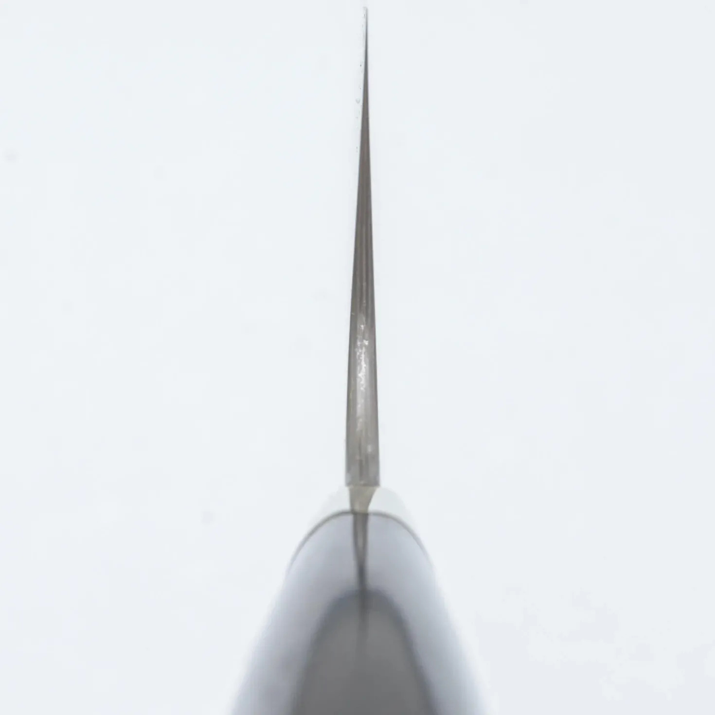Nigara Kagetora Aogami #2 + Shirogami #2 Western Gyuto 24 cm