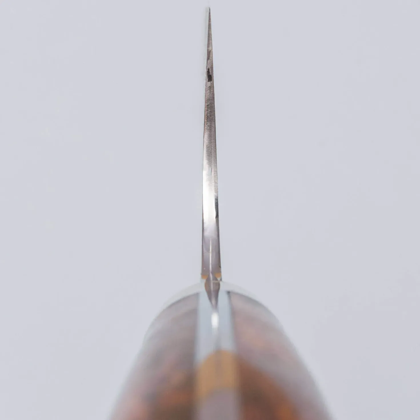 Nigara SG2 Damast Premium Karin Kiritsuke 21 cm
