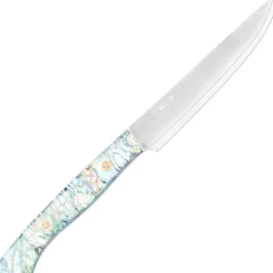 Nigara SG2 Kasumi Abalone Steakmes 13 cm
