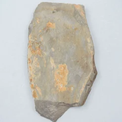 Ohira Koppa Medium / Soft 22 x 11 x 2 cm