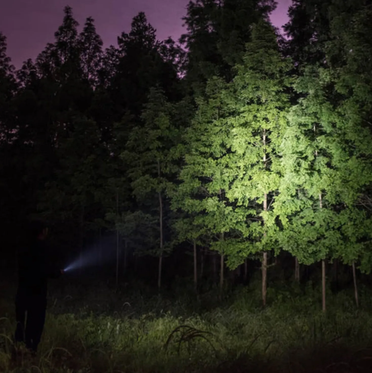 Olight I3T EOS Shadow Dune