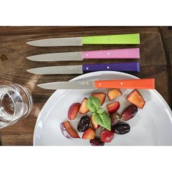 Opinel Bon Appétit Pop Tafelmessen Nr 125