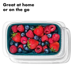 Oxo Lunchbox Prep & Go Fruitbakje 400 ml