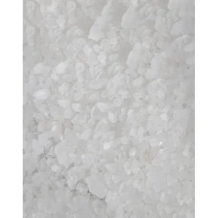 Peugeot Grof Keukenzout (350 gram)
