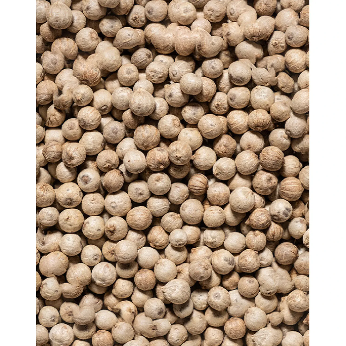 Peugeot Sikara Peperkorrels (60 gram)
