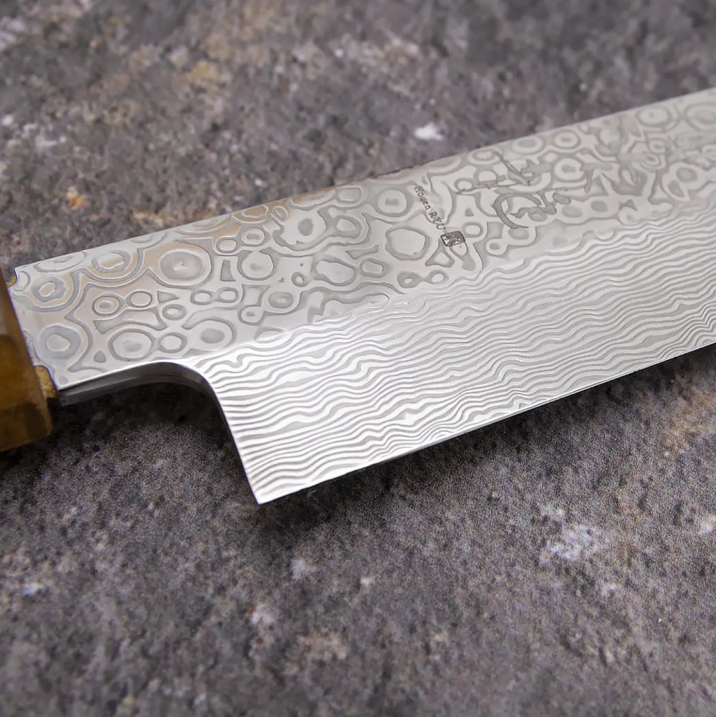 Ryusen Hoenryu Coreless Yanagiba 21 cm