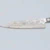 Ryusen Oukokuryu OK-202 SG2 Gyuto 21 cm