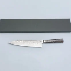 Ryusen Oukokuryu SG2 Gyuto 21 cm