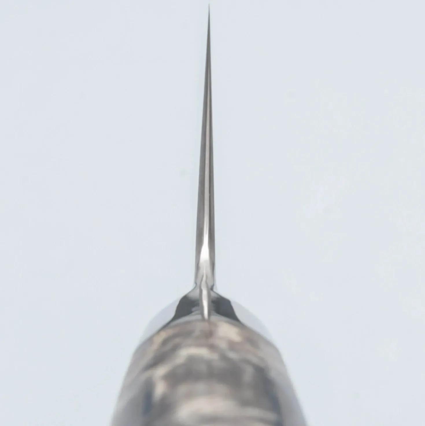 Ryusen Oukokuryu SG2 Gyuto 21 cm