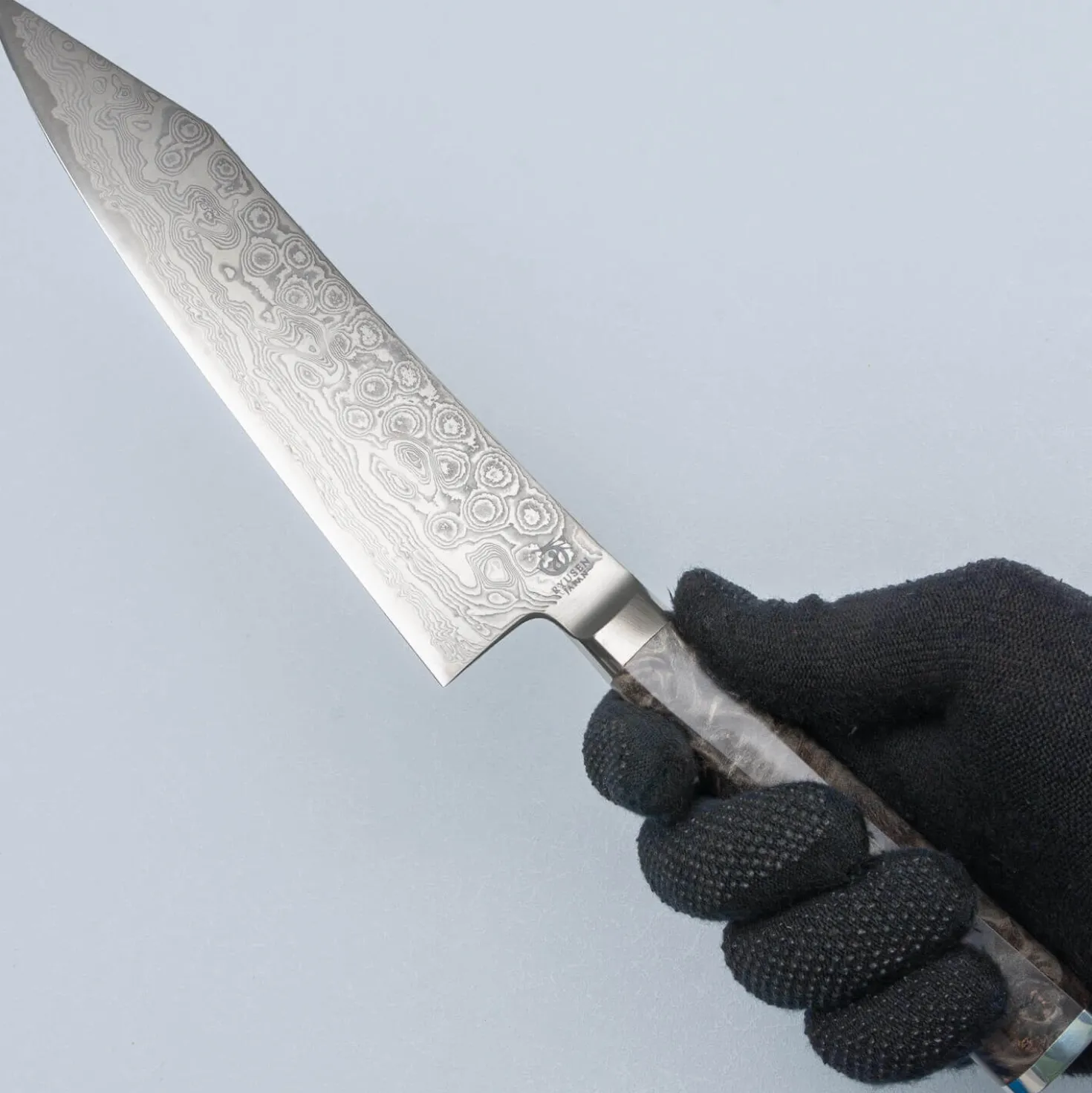 Ryusen Oukokuryu SG2 Gyuto 21 cm