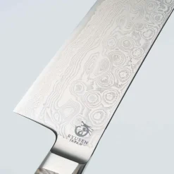 Ryusen Oukokuryu SG2 Gyuto 21 cm