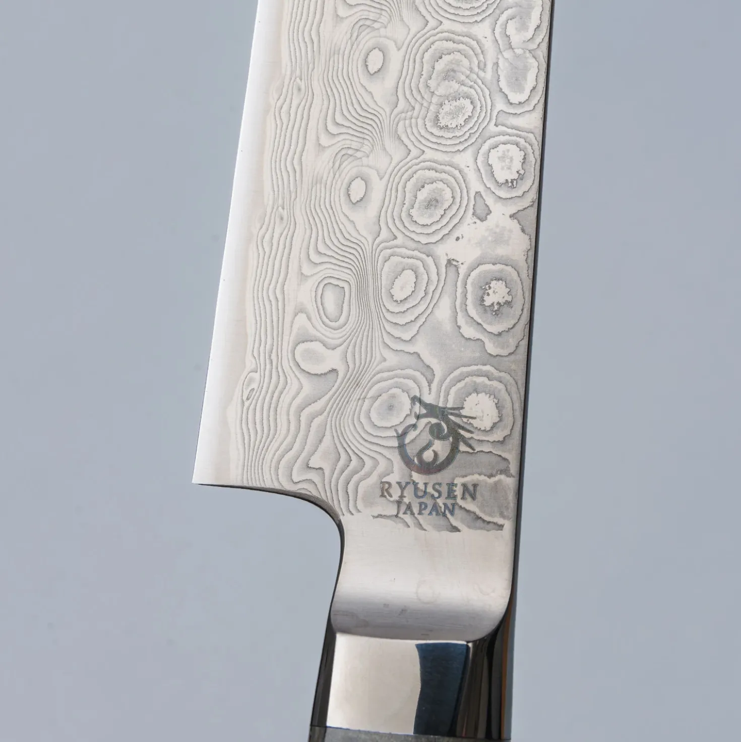 Ryusen Oukokuryu SG2 Sujihiki 26 cm