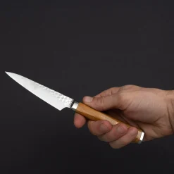 Ryusen Tanganryu Maple Petty 10.5 cm