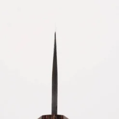 Sakai Takayuki Aogami Super Kengata 16 cm