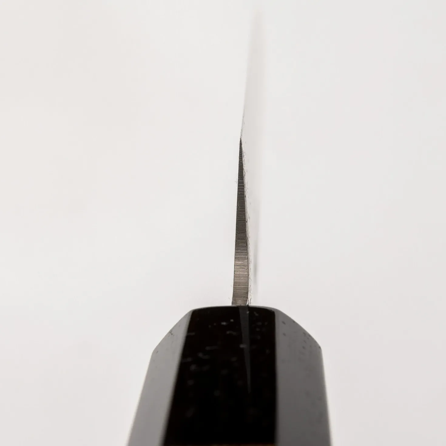 Sakai Takayuki Ginga Sujihiki 24 cm